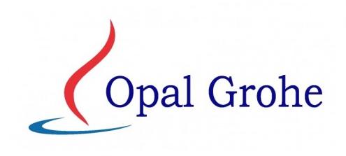 Opal Grohe КРАН ДЛЯ ПИССУАРА КНОПКА